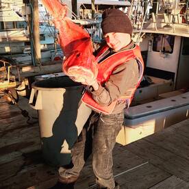 Nice red snapper