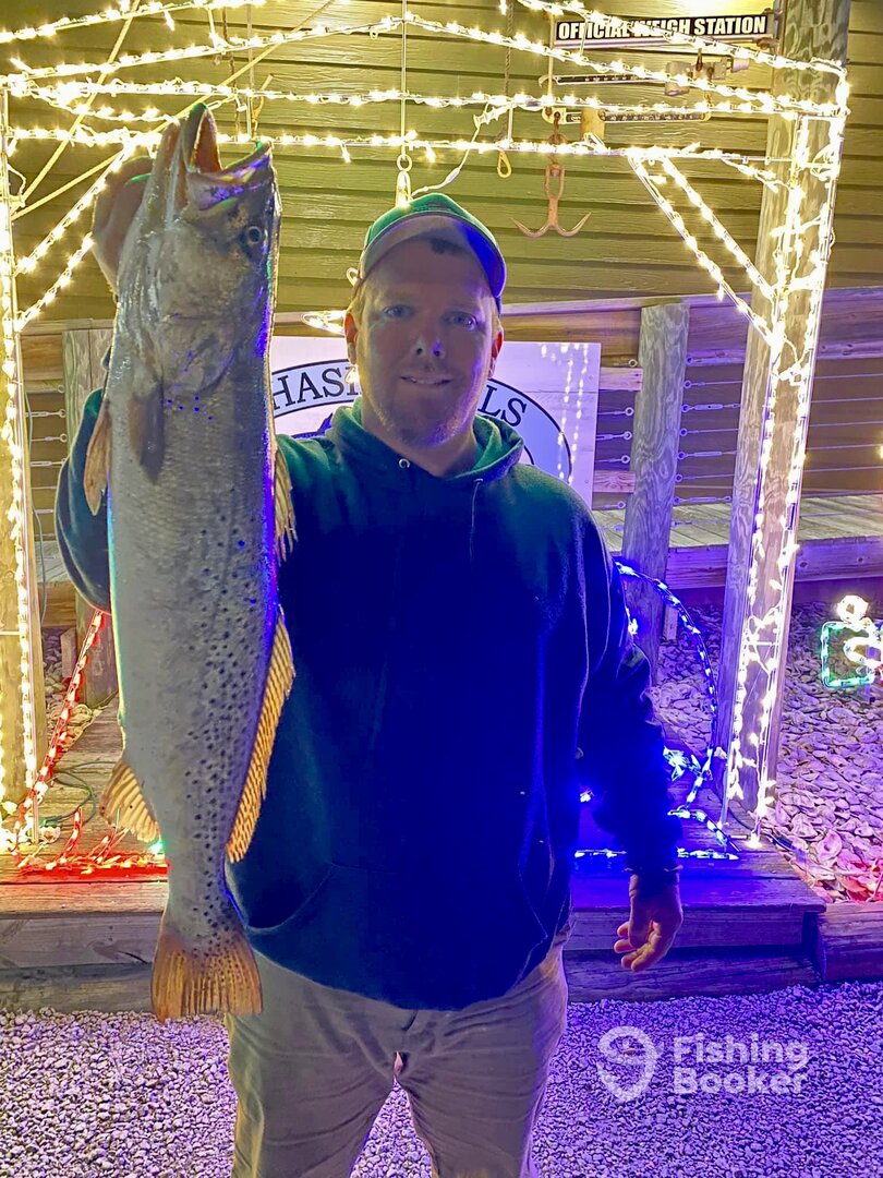 Beaufort Report Photo 0