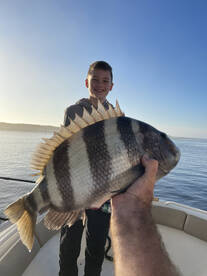 Sheeps were crabby this morning  