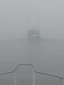 Port Canaveral Report Photo 1