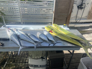 Conneaut Report Photo 3