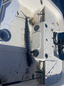 Conneaut Report Photo 4