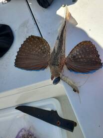 Bradenton Report Photo 1