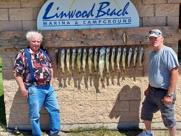 Linwood Report Photo 1