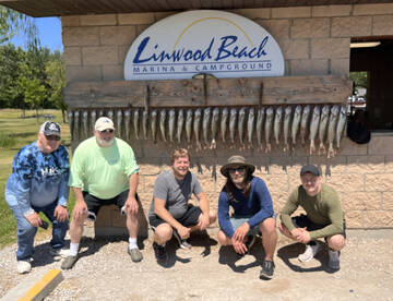 Linwood Report Photo 2