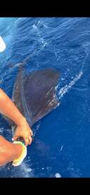 Belize City Report Photo 2