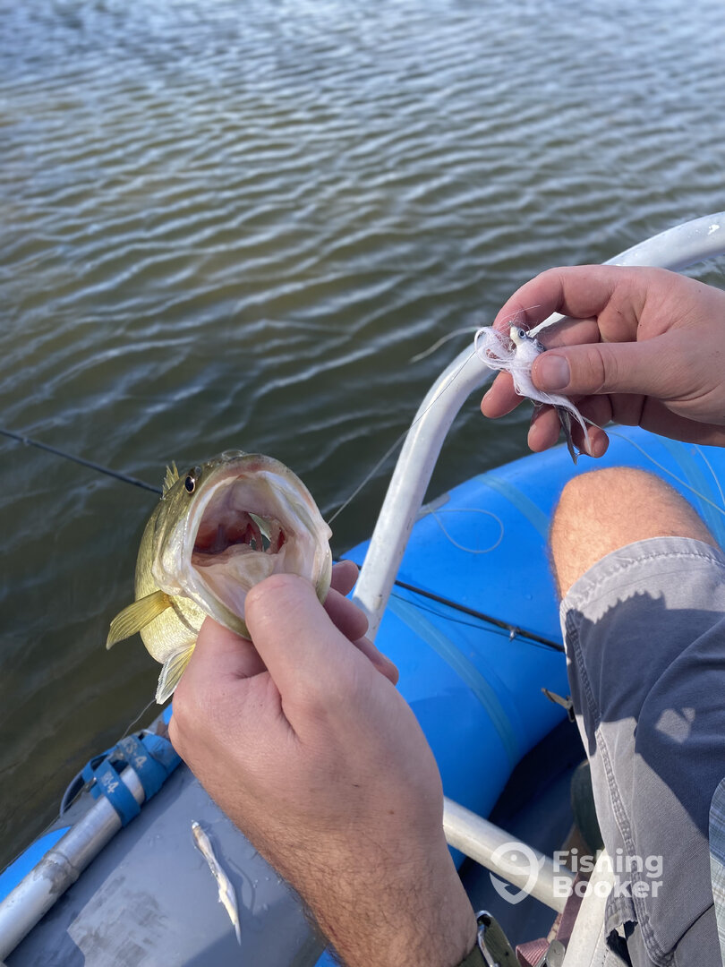 Granbury Report Photo 0