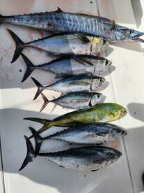 6 hour trolling trip - 1/2/2023