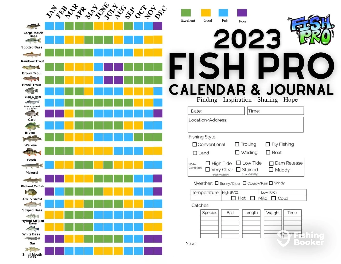 Best Months to Fish by Species In Georgia
