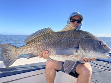 SIGHT FISHING GIANT BLACK DRUM ON FIRE! 