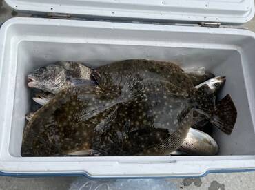 Bolivar Peninsula Report Photo 1