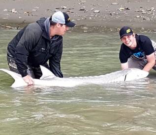 Chilliwack Report Photo 1