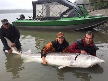 Chilliwack Report Photo 2