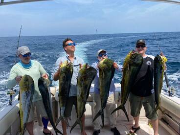 Mahi and Sailfish Action, HOT, HOT, HOT.