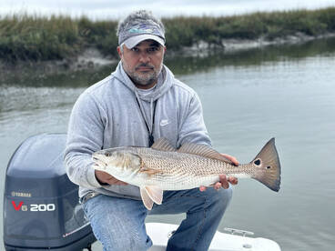 Darien Report Photo 1