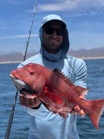 Cabo San Lucas Report Photo 1
