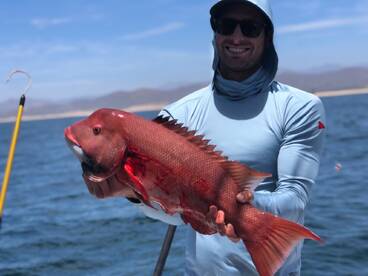 Cabo San Lucas Report Photo 2