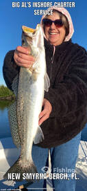 New Smyrna Beach Report Photo 1