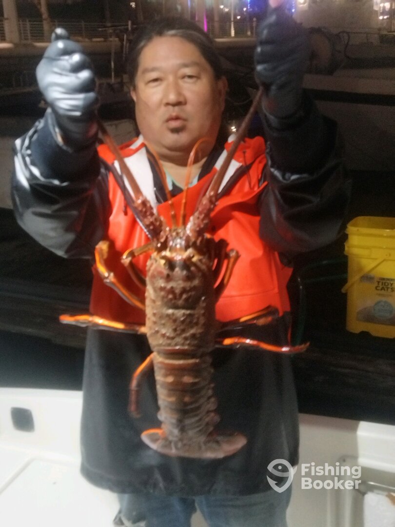 Big Bugs!!!