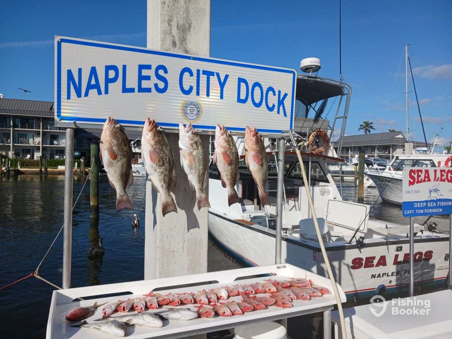 Naples Report Photo 0