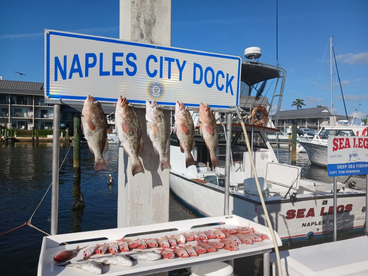 Season is here and the fish are eating.