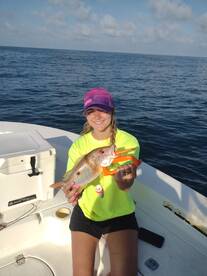 Port Charlotte Report Photo 1