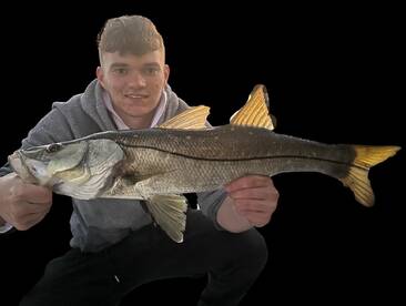 Snook bite strong in Estero bay 