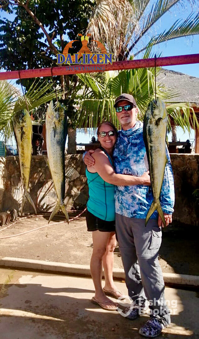 San Jose del Cabo Report Photo 0