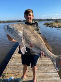 Sulphur Report Photo 2