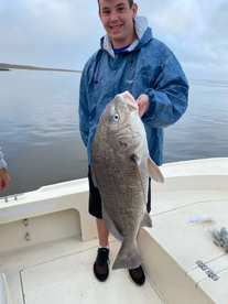 Sulphur Report Photo 1