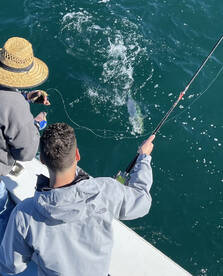 Redington Shores Report Photo 2