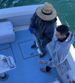 Redington Shores Report Photo 1