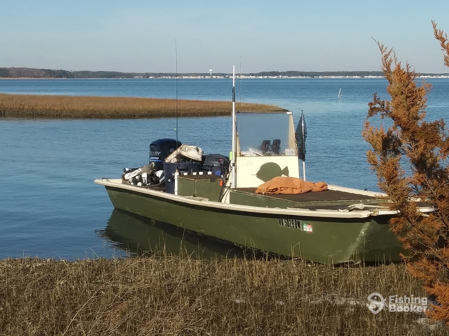Chincoteague Report Photo 0