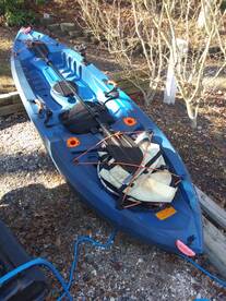 Chincoteague Report Photo 1