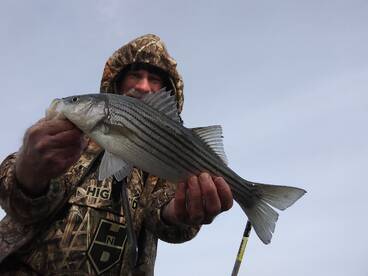Chincoteague Report Photo 2