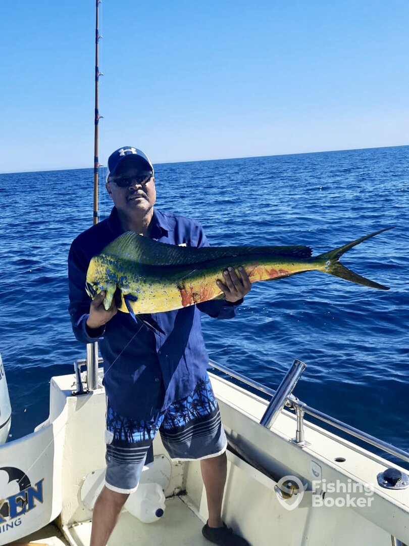 San Jose del Cabo Report Photo 0