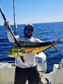 San Jose del Cabo Report Photo 2