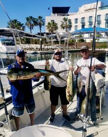 San Jose del Cabo Report Photo 1