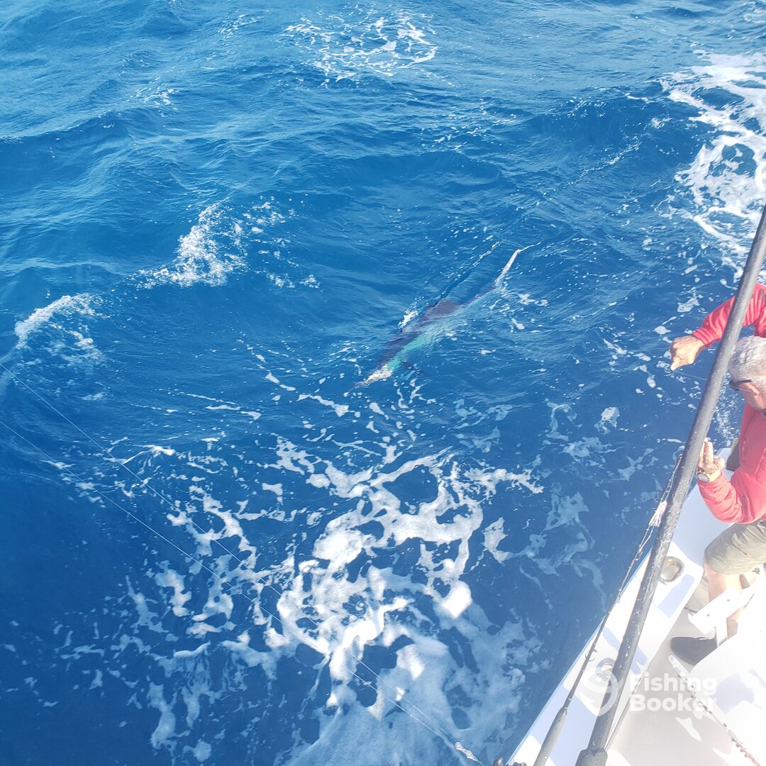 Key West Report Photo 0
