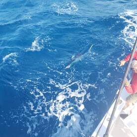 FishingBooker Key West Fishing Report Ja