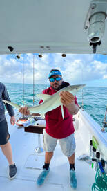 Sharks and barracudas great fun trip !! 