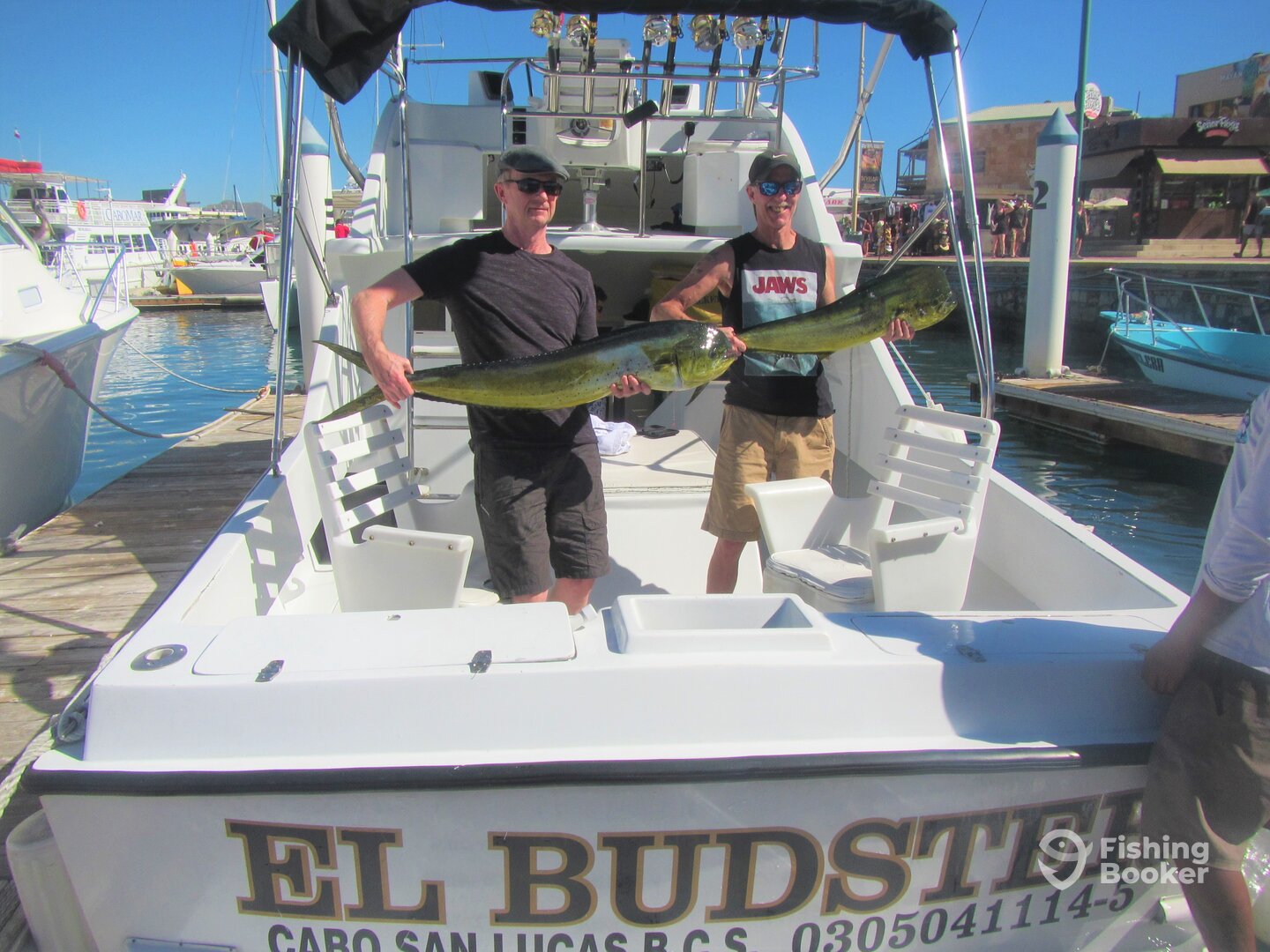 Cabo San Lucas Report Photo 0
