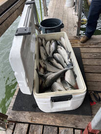 Pottsboro Report Photo 2