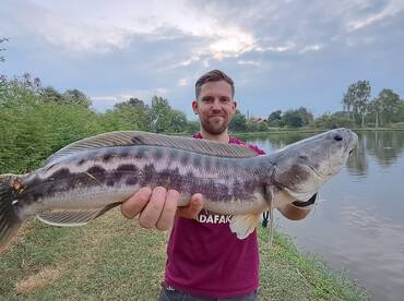 Bangkok Report Photo 2