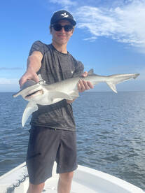 Punta Gorda Report Photo 2