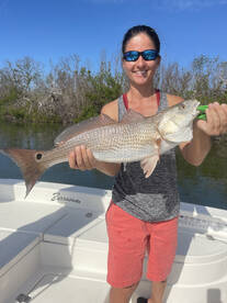 Punta Gorda Report Photo 1