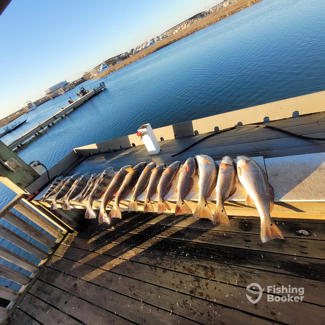 Rockport Report Photo 0