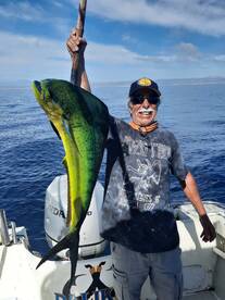 San Jose del Cabo Report Photo 1