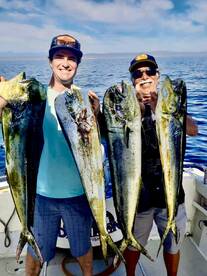 San Jose del Cabo Report Photo 2