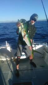 San Jose del Cabo Report Photo 1